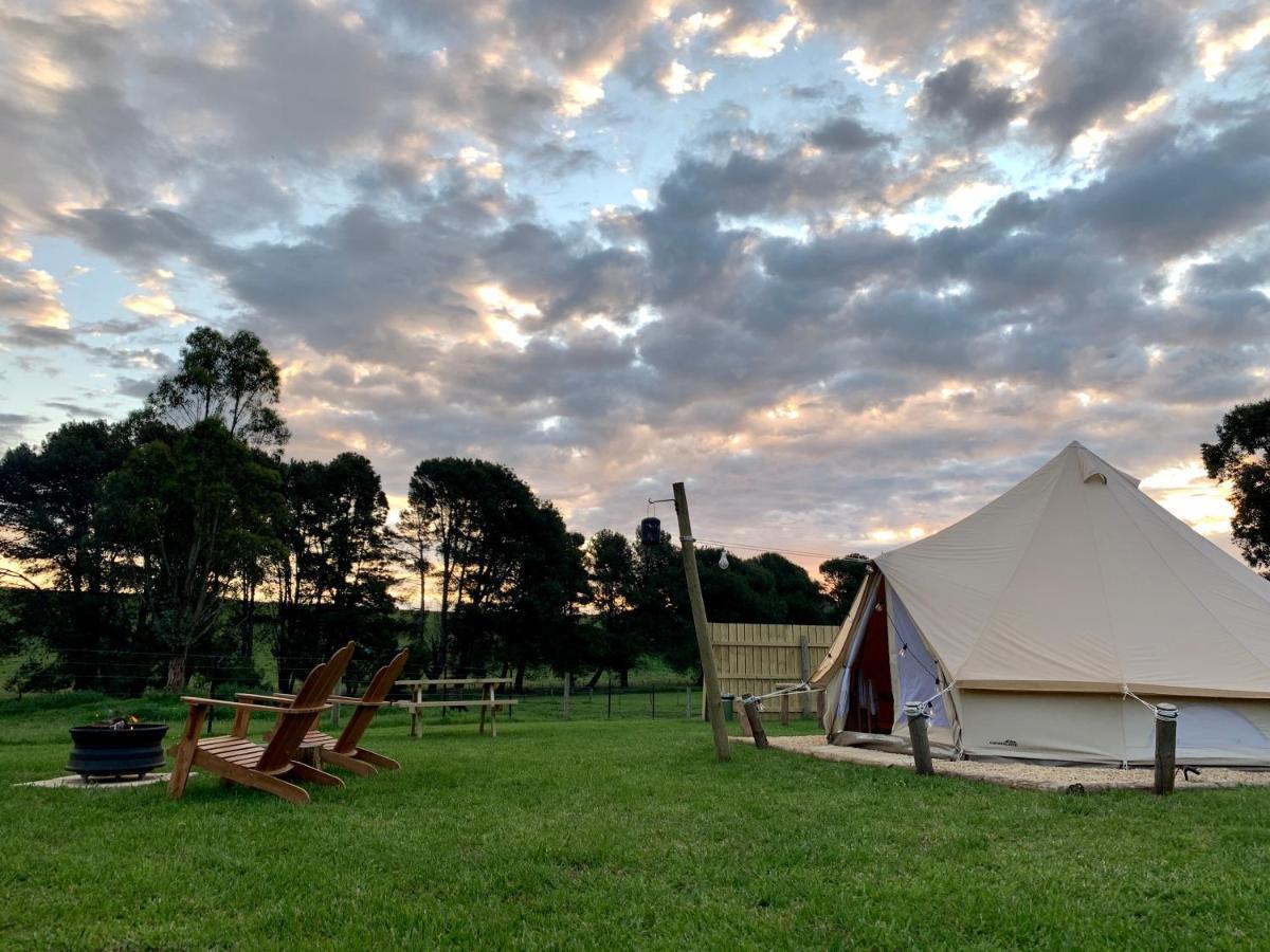 Pine Country Caravan Park Mount Gambier Ngoại thất bức ảnh