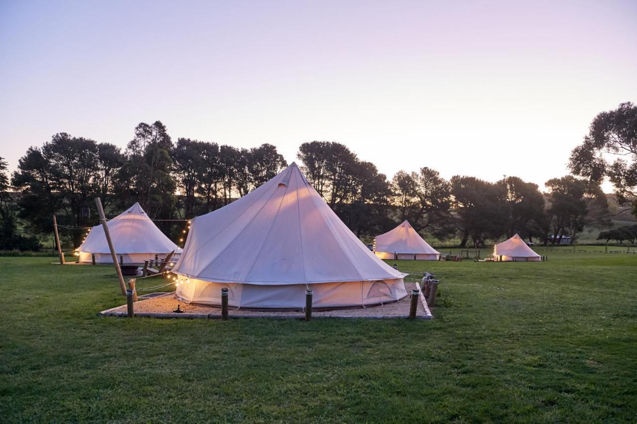 Pine Country Caravan Park Mount Gambier Ngoại thất bức ảnh