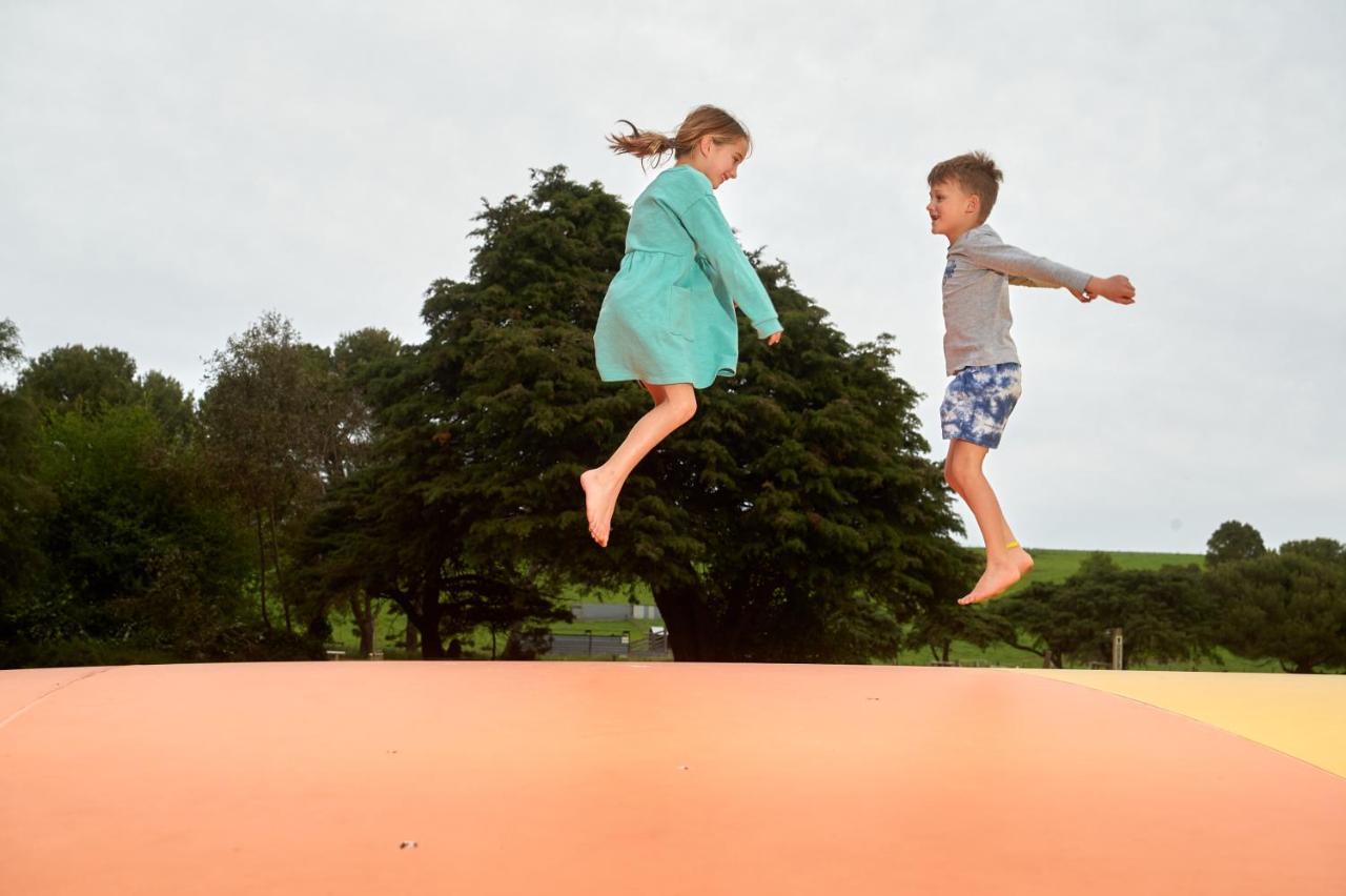Pine Country Caravan Park Mount Gambier Ngoại thất bức ảnh