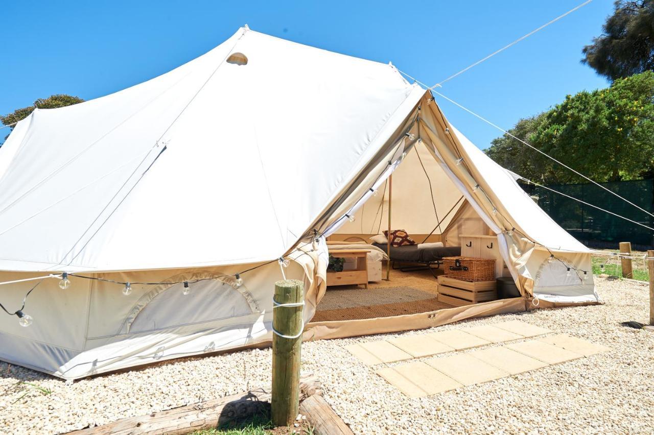 Pine Country Caravan Park Mount Gambier Ngoại thất bức ảnh
